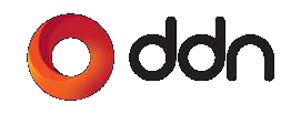 DDN